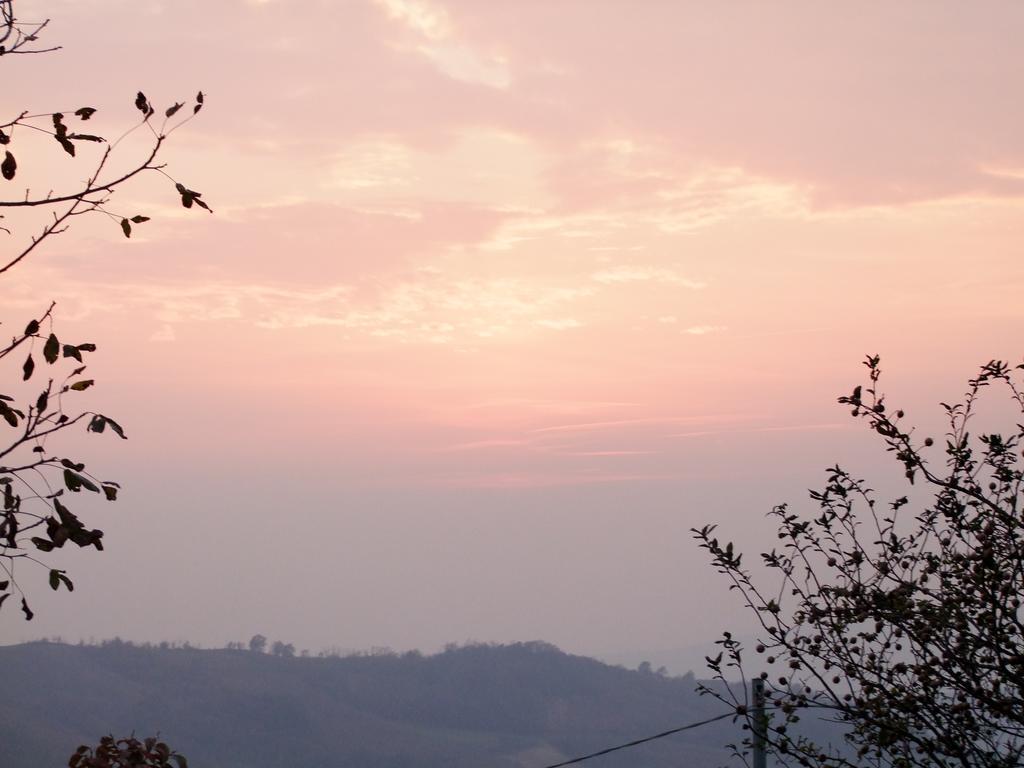 Casa Branzele Bed and Breakfast Trezzo Tinella Exteriör bild