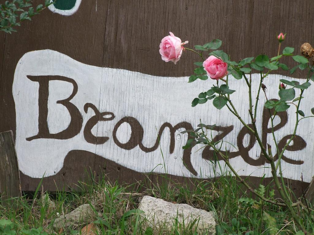 Casa Branzele Bed and Breakfast Trezzo Tinella Exteriör bild