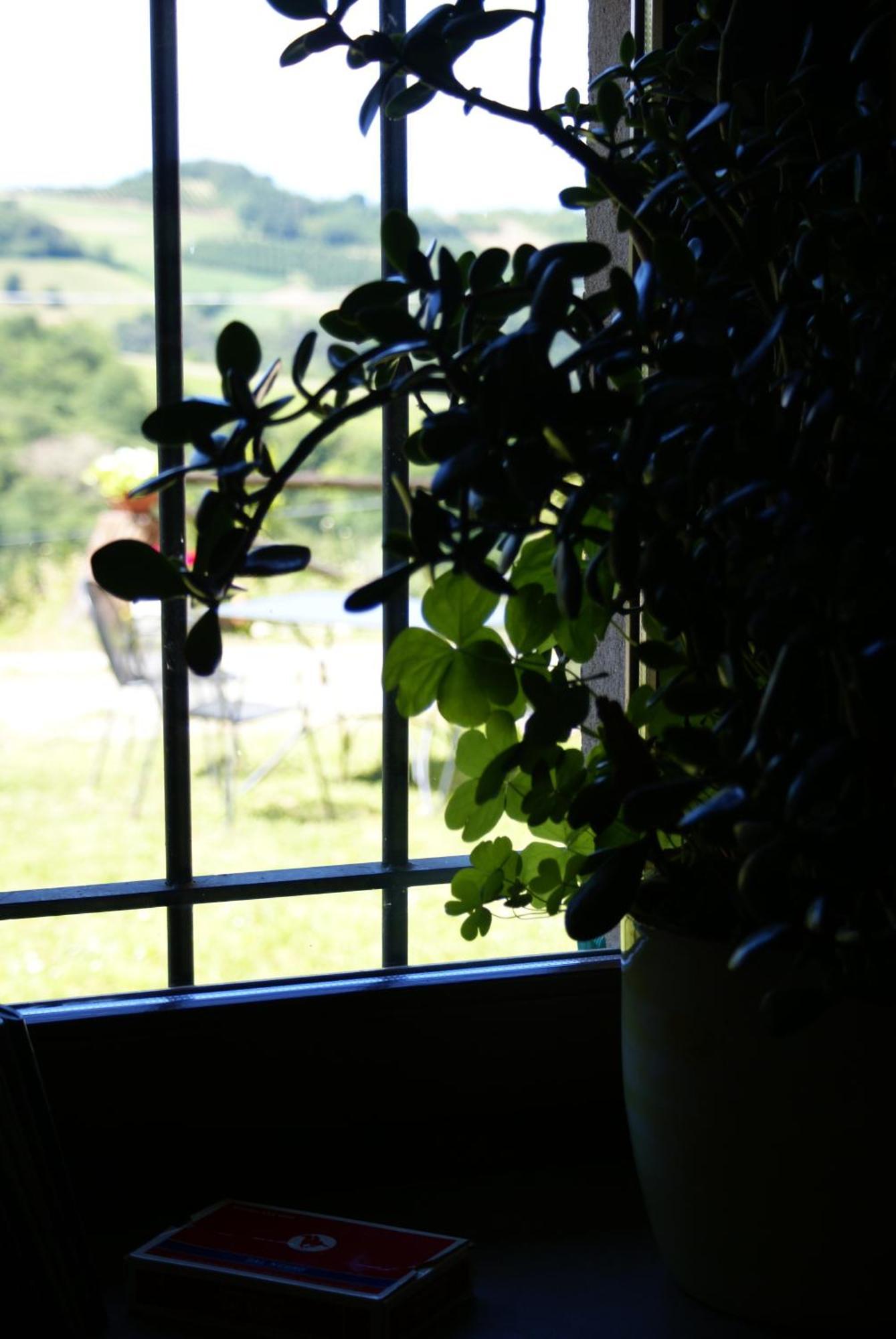 Casa Branzele Bed and Breakfast Trezzo Tinella Exteriör bild