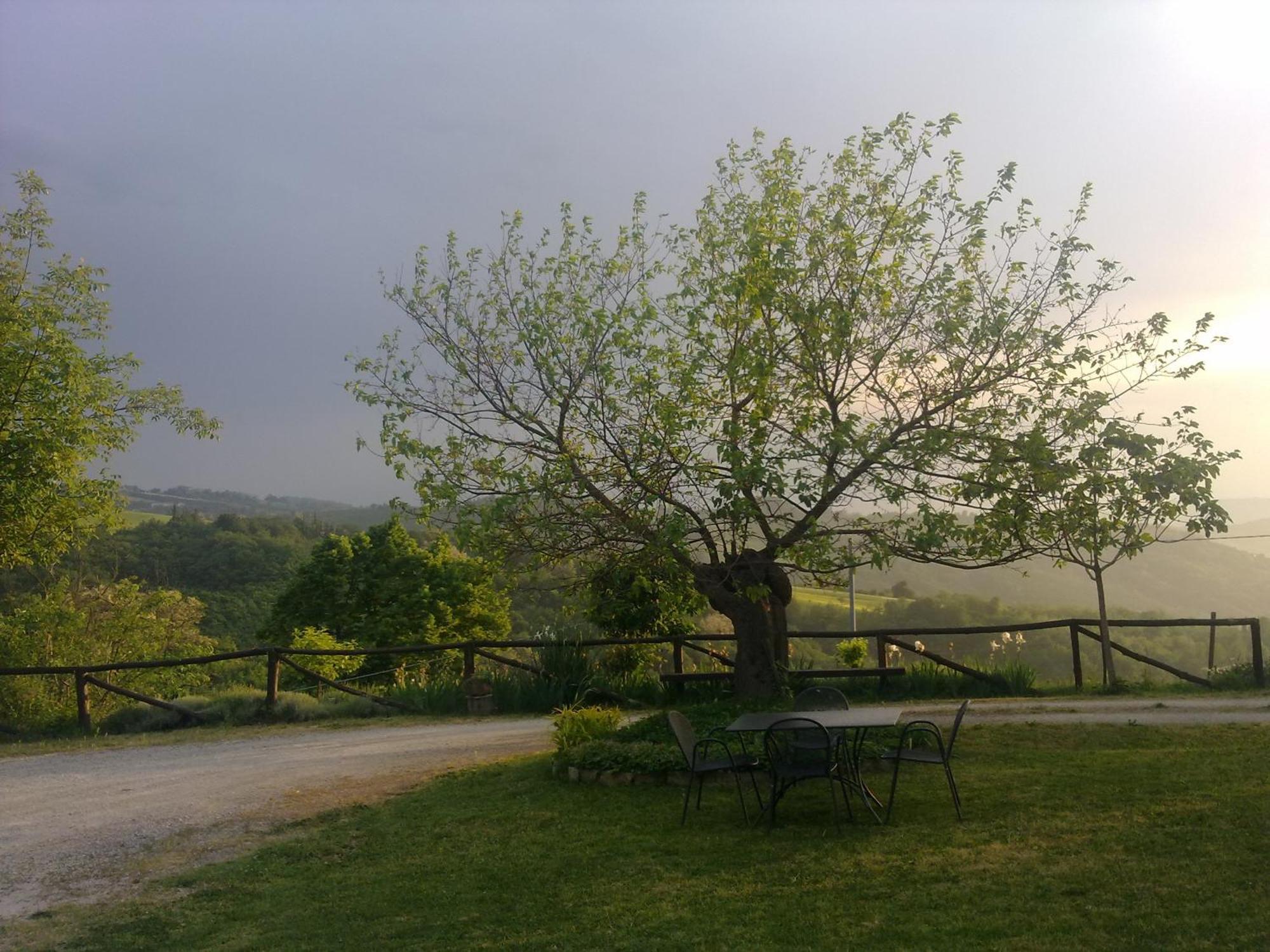 Casa Branzele Bed and Breakfast Trezzo Tinella Exteriör bild