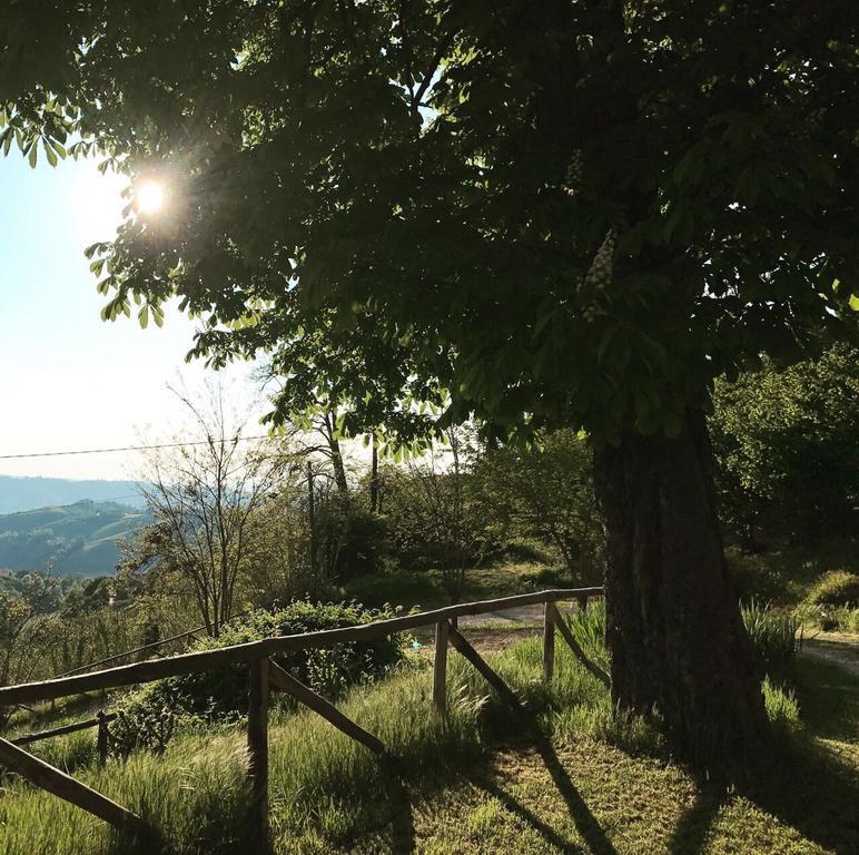 Casa Branzele Bed and Breakfast Trezzo Tinella Exteriör bild